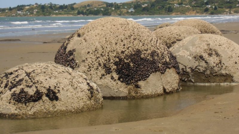 Moeraki-Boulders: Murmeln der Götter
