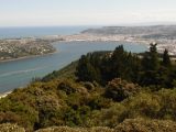Neuseeland: Scotch in Dunedin