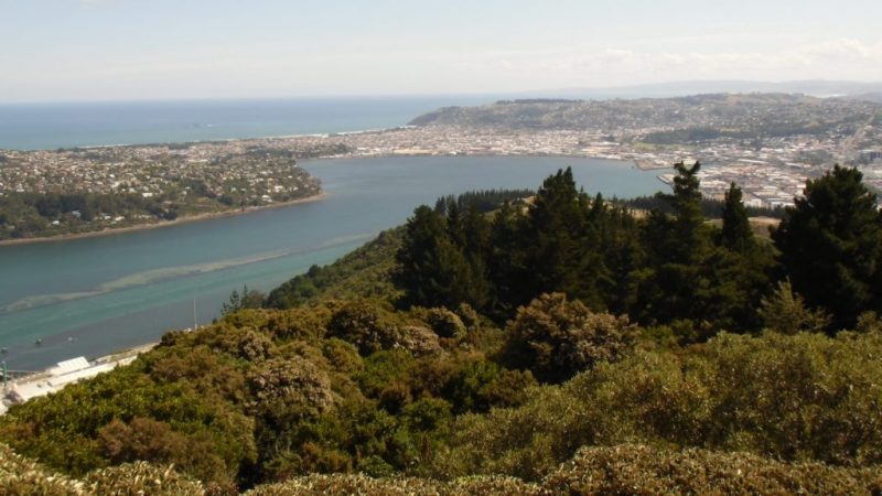 Neuseeland: Scotch in Dunedin