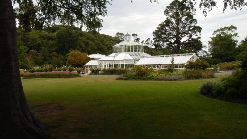 Rosen im Schmuckstück