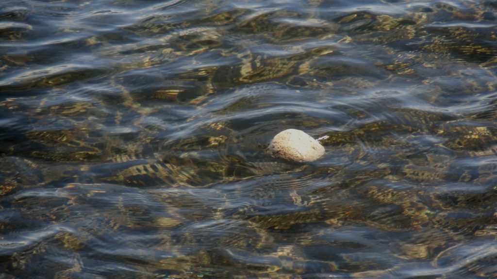 Schwimmende Steine auf dem Tauposee