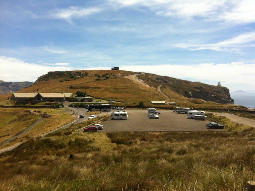 Neuseeland: Albatross und Pinguin
