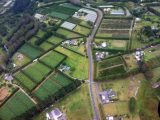 Vulkanasche lässt Kiwi-Plantagen wuchern