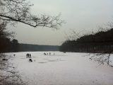 Krumme Lanke à la Breughel