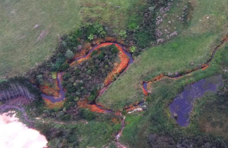 Schönheiten am Straßenrand