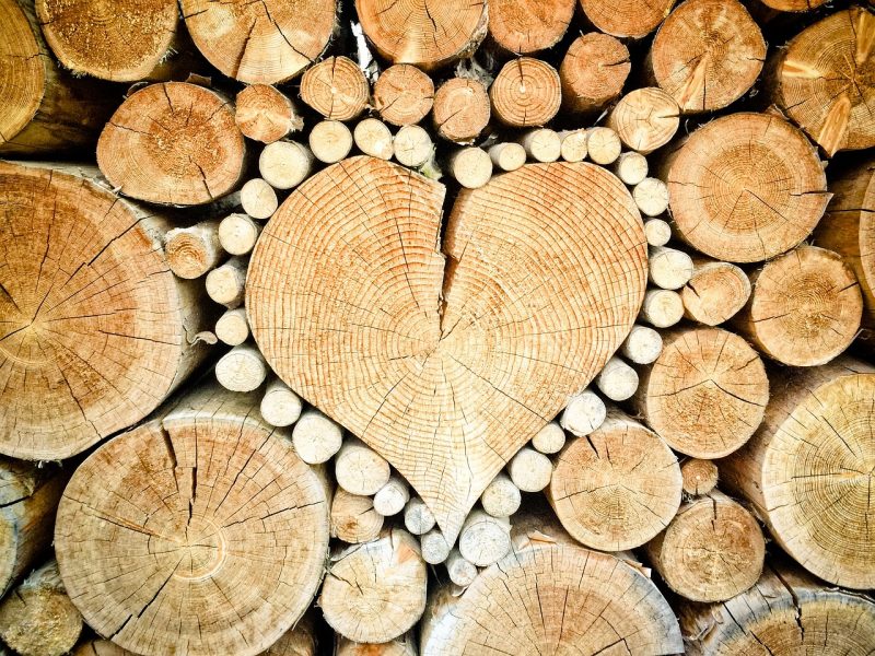 Holz-Bashing ist ungerecht – ein Herz für den Kaminofen