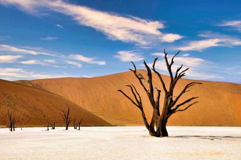Menschheit stand kurz vor dem Aus