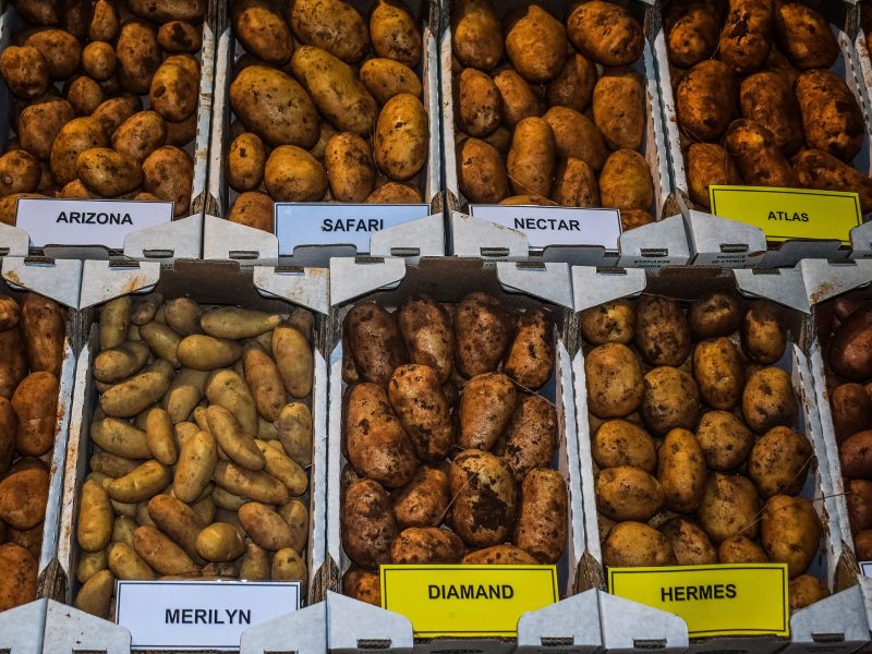 Hitze macht Kartoffeln klein