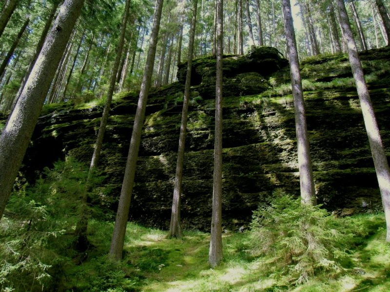 Durchs Marderbachtal