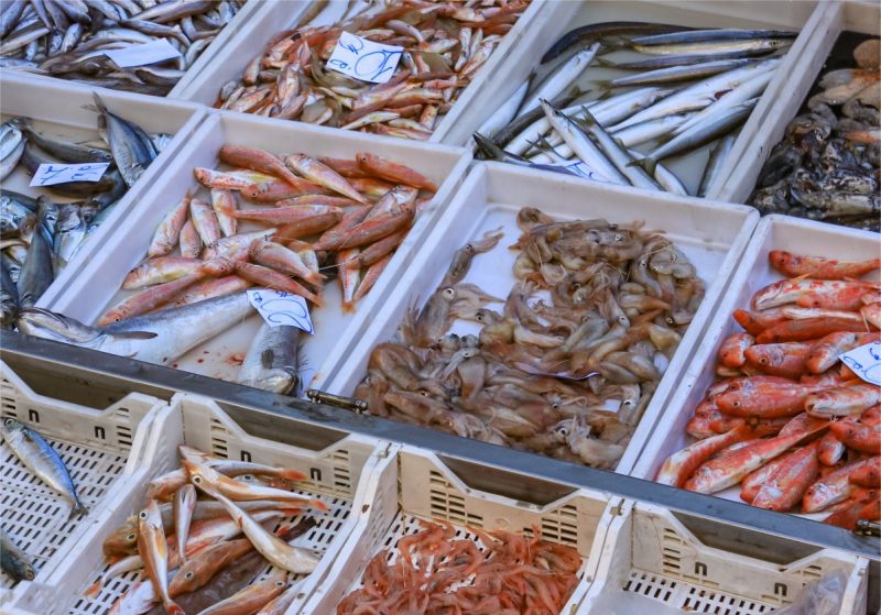 Seefisch kann krank machen