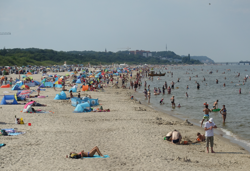 Und im Meer lauern die „Körperfresser“